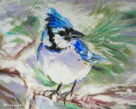 San Antonio Art - Birds